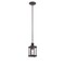 Designers Fountain Palencia 100 Watt 1 Light Artisan Pardo Wash Mini-Pendant with Clear Seedy Glass Shade 87530-APW - alternate 1